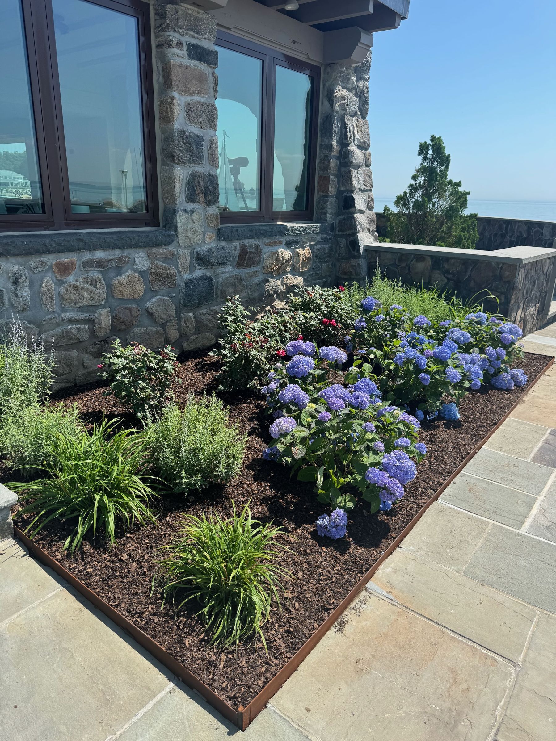 Hydrangea garden at stone home