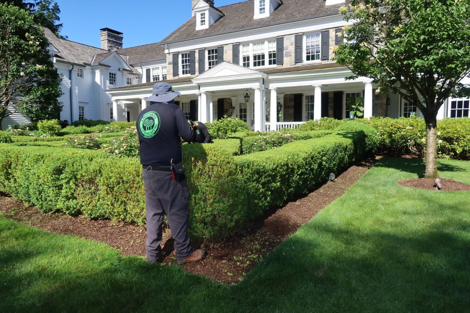Hedge trimming at luxury estate
