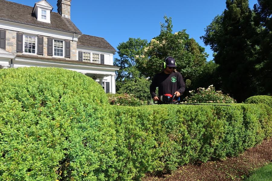 Atko Bros team trimming hedges at a Greenwich estate