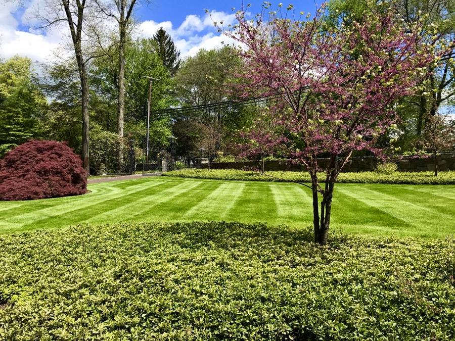 Lawn Care