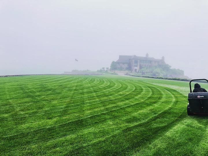 Manicured estate lawn