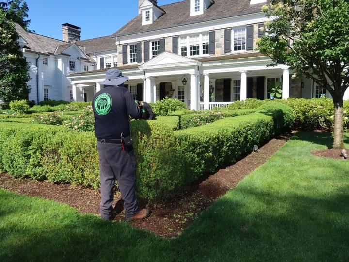 Hedge trimming at luxury estate