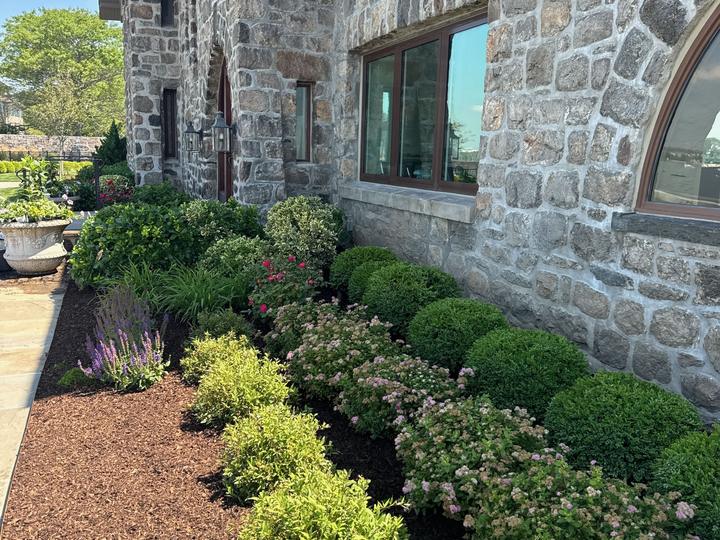 Foundation planting at stone estate